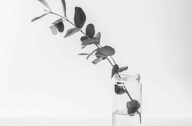 Seemple* Music for iPad